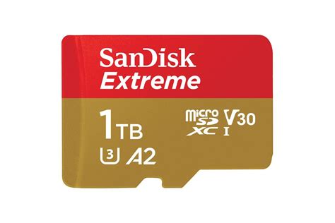 terabyte micro sd card